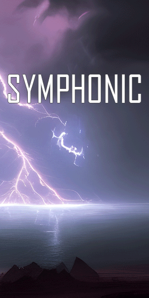 Symphonic Tour 300x600