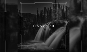 HAAVARD – Haavard