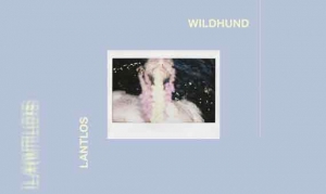 LANTLOS – Wildhund
