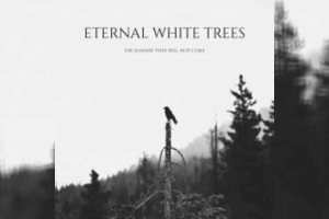 ETERNAL WHITE TREES – The Summer That Will Not Come